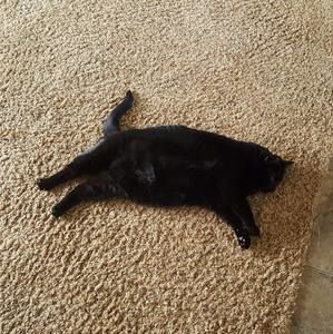 Meet your Posher, Tracy